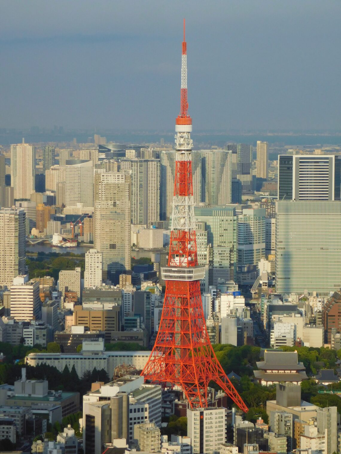 Tokyo Towers Konusu: Kısa Özet, Temalar ve Dikkat Çekenler - Kapak Görseli