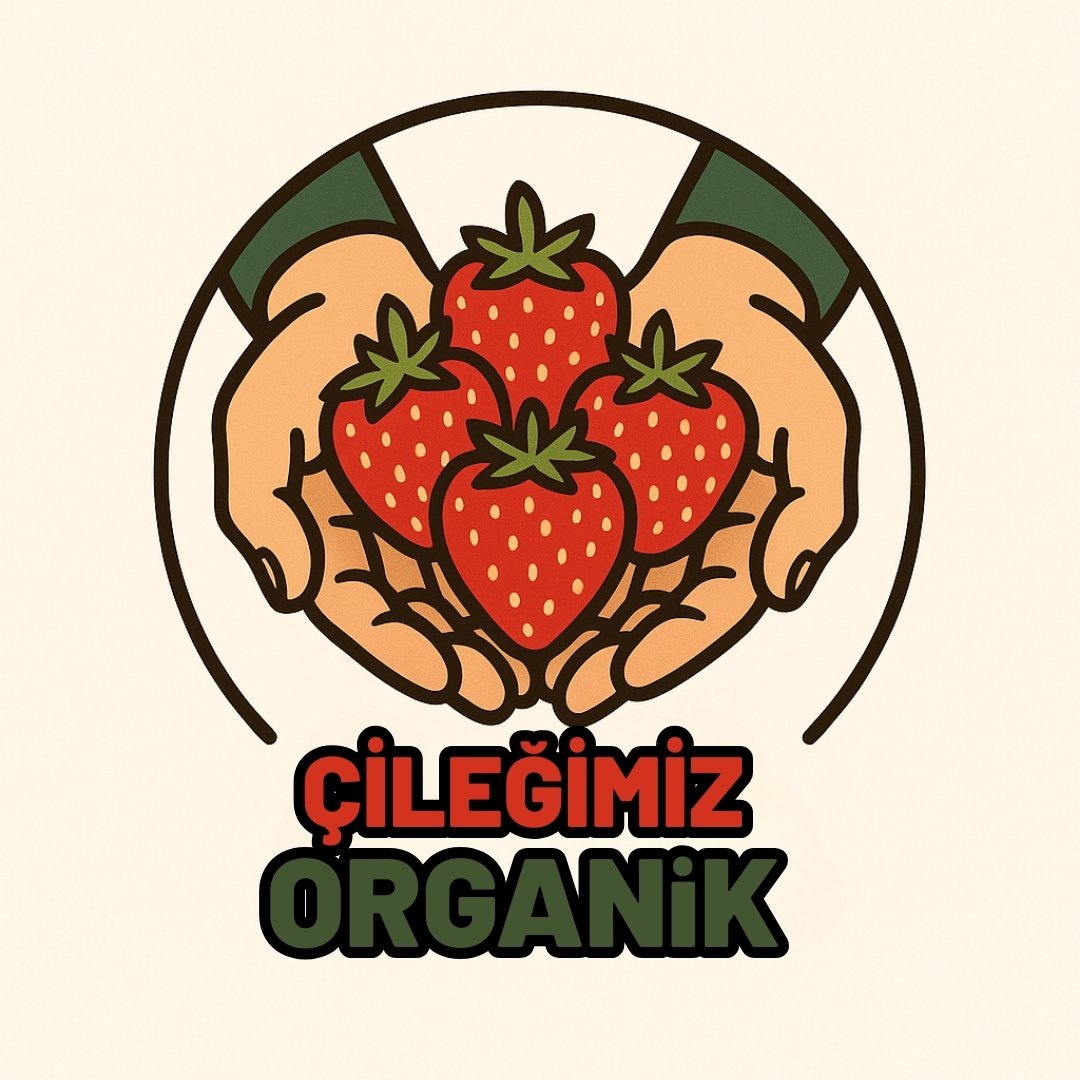 Tire çileğini özel kılan özellikler ve ününün gerçek nedeni - Kapak Görseli